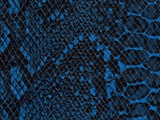 blue snakeskin